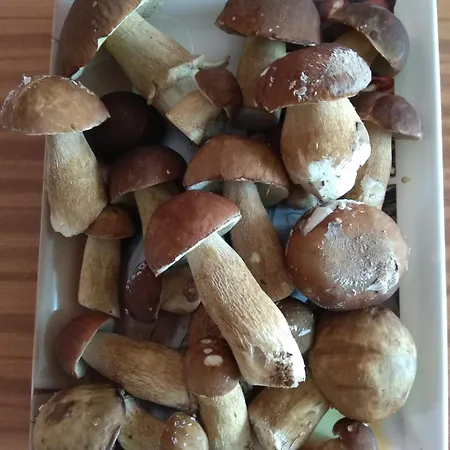 Ubytkom Porac